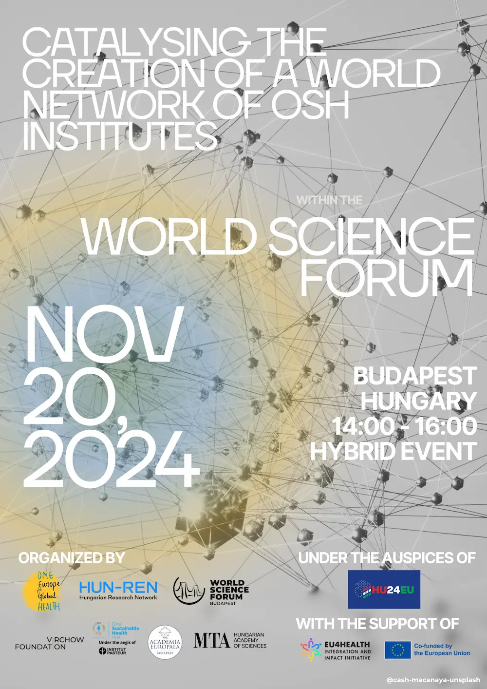 Key Takeaways: Catalysing the Creation of a World Network of One Sustainable Health Institutes (within the World Science Forum 2024 in Budapest)